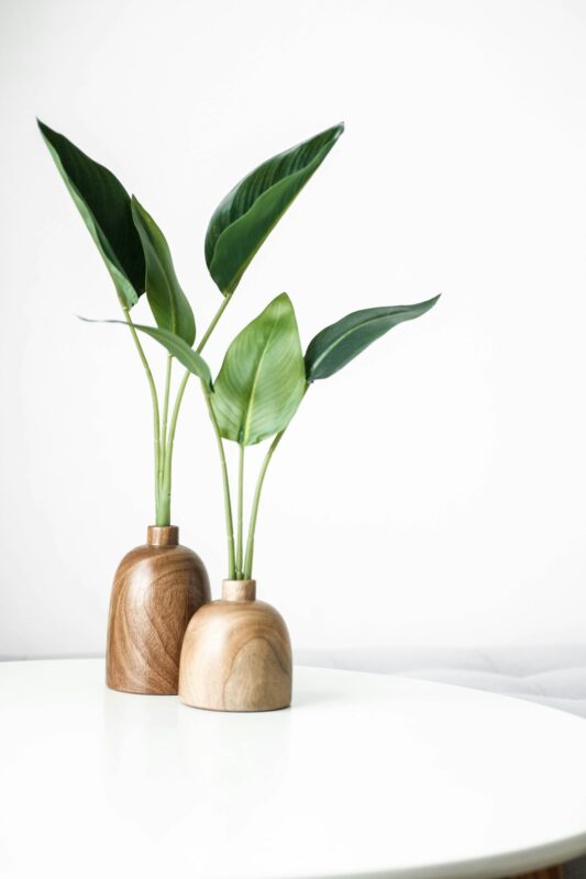 Green foliage with wooden vases home decor piece