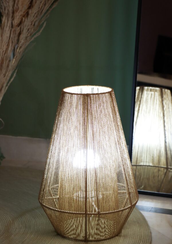 آباژور رافیا - Image 3